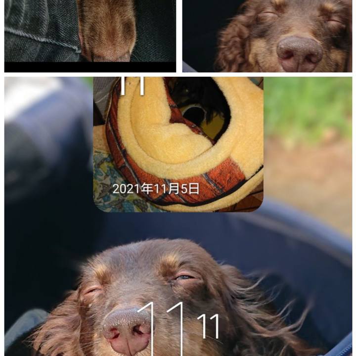 35143f04 5ec7 486e 8732 2215b89fd13f 1763069907752