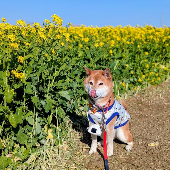 35146da2 483b 490f 9103 7ae281fcdc5e 1773474941074