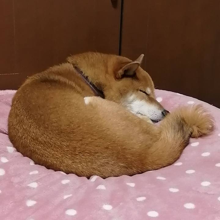 3514c103 0489 4f35 9948 6330d5e4461f 1607332681233