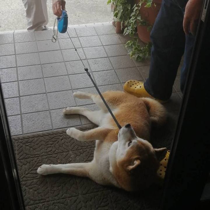 3514cd3b 30c7 4f76 85f9 151f69b43a30 1590624825347