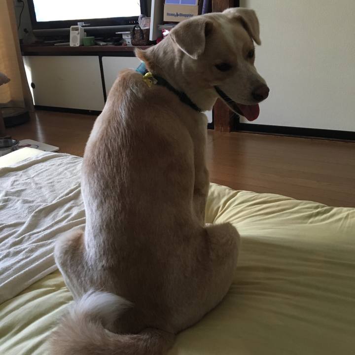 35150a8a 2956 4de2 8ae3 757dd0bb977e 1532271856070