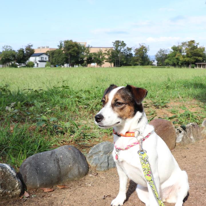 351511f7 565f 4285 a5b9 90739b4e6a41 1537755683201