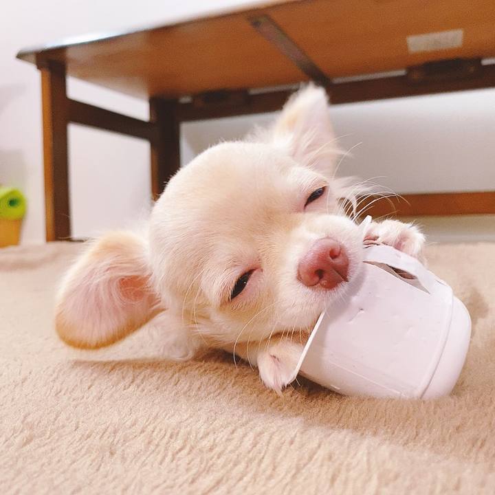 351513dc 4b7b 4b77 a3a3 5e624260cc25 1595904909420