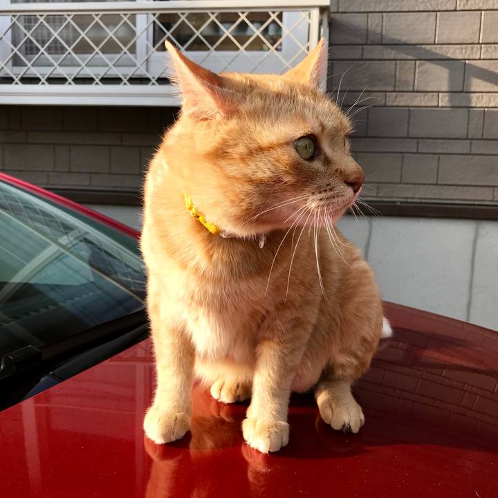 35152448 be50 4a26 93ef c492cf966765 1522052477087