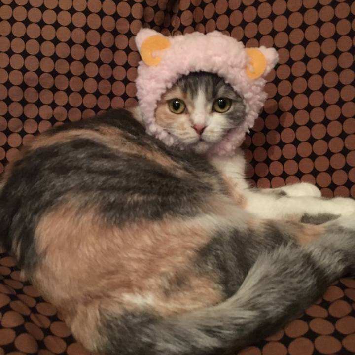 3515705b 39f1 4a29 9189 d93cbe163b55 1538657337227