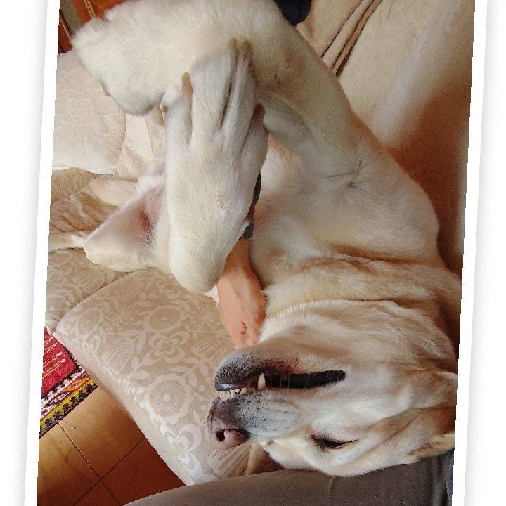 35158473 f159 48cc a8f6 c8d7347f1b34 1768977924614