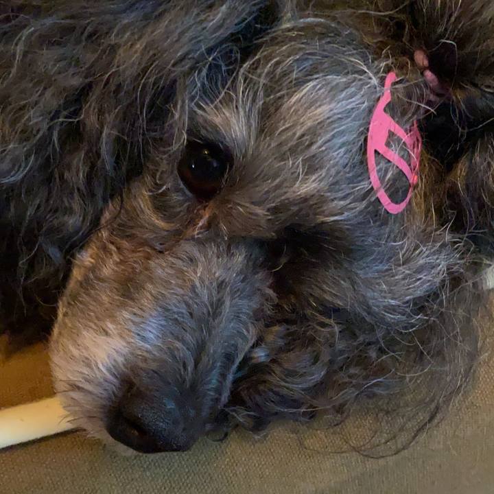 35159392 32d4 4aa7 922a 533d81f45a63 1752836234020