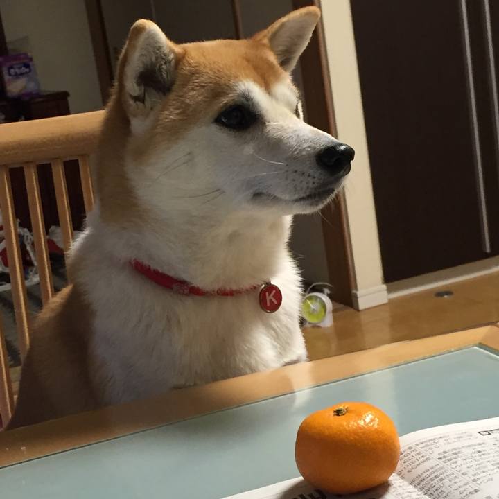 3515adc2 0861 4736 90e5 12d9f988e17b 1515365978087