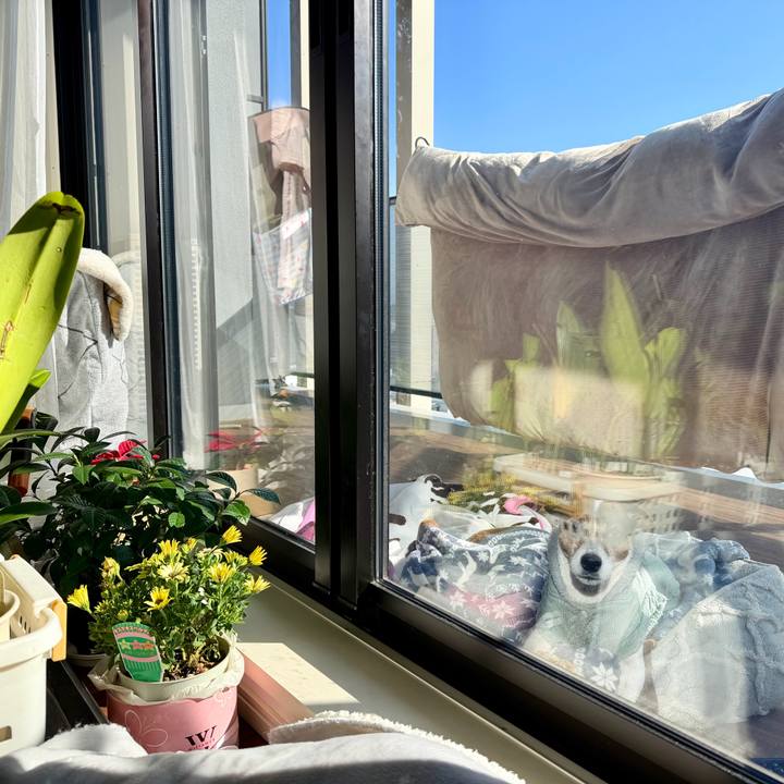 3515ae7d 4b60 4192 812c 25a54102d4dc 1771145348758