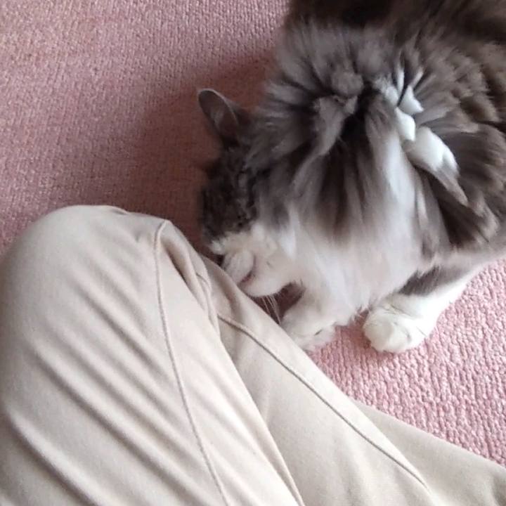 3515c363 77ac 4bdc aed6 5cbb4e86c8c6 1655613545051