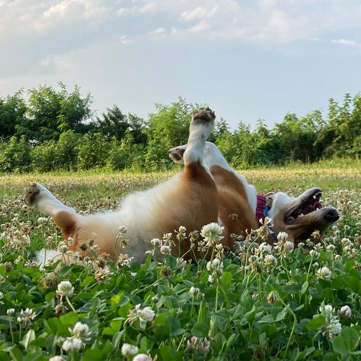 3515f2c6 6f22 4e9d 84e0 30dac7d0247b 1689123178343