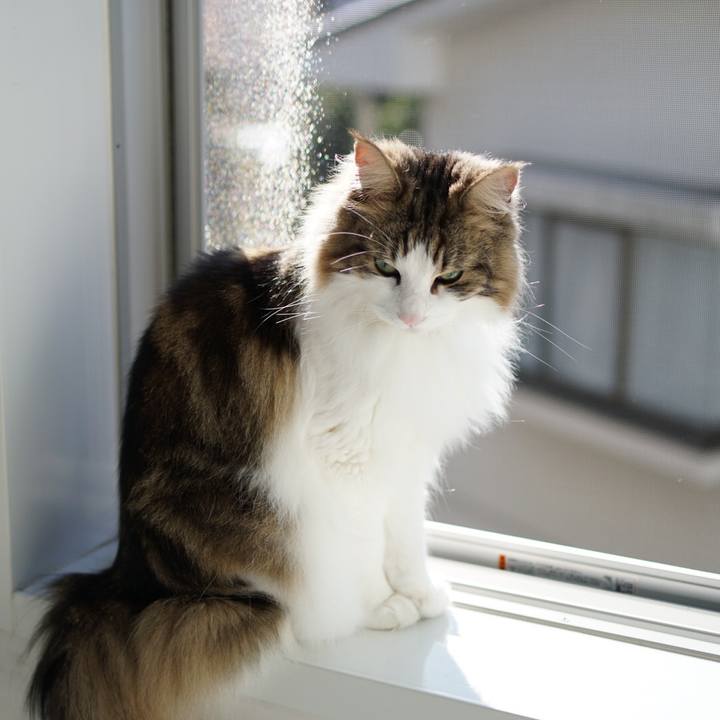 35163d77 e68e 4e7c a892 1474e5d5139e 1580347882991