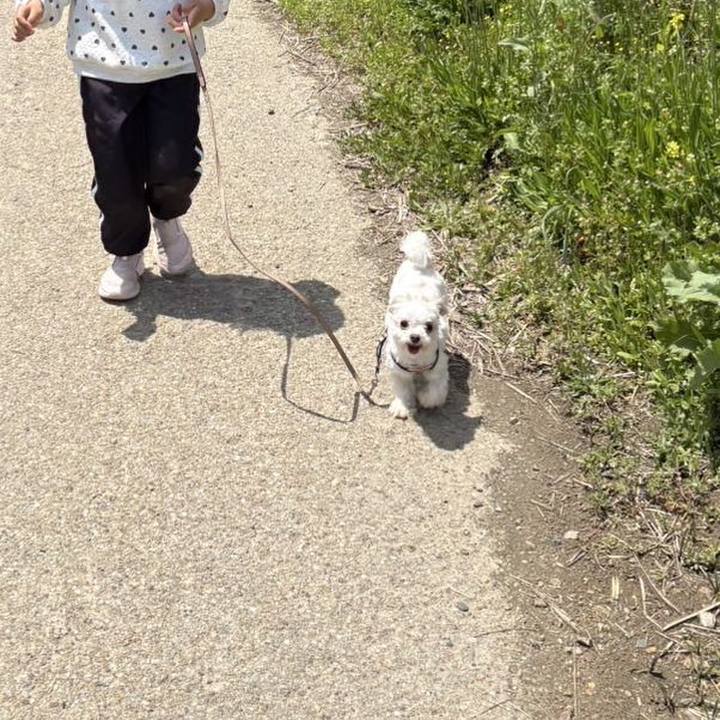 35163f64 b488 4674 bd94 b6b264016ce0 1746492653153