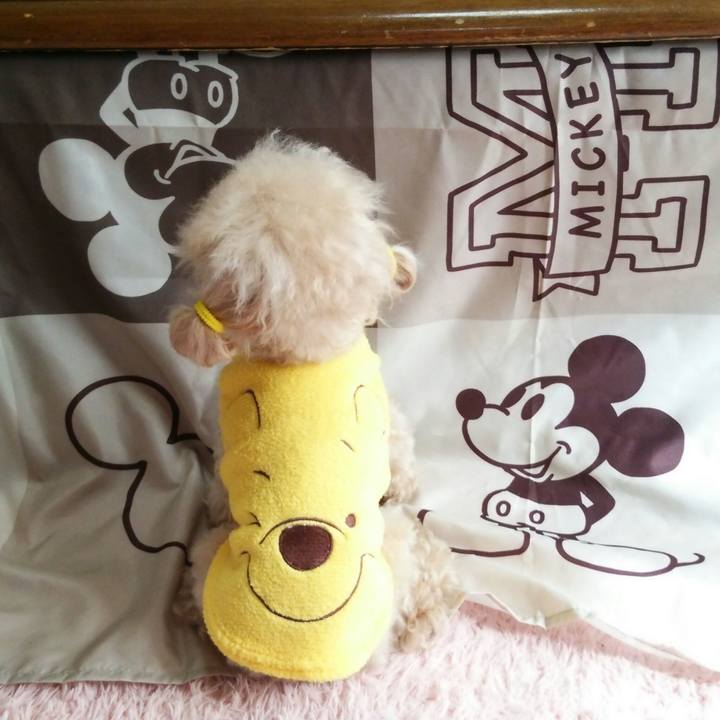 35167162 c374 4472 9941 7377f731b0ae 1540291670693