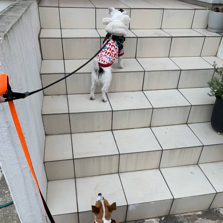 35167362 54f4 48b3 bc2f 40b9c22eb180 1548810855412