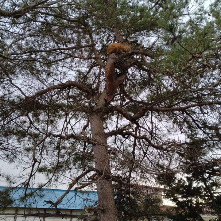 35168d38 3b0a 48cf b990 3143fc64cb43 1670308819388