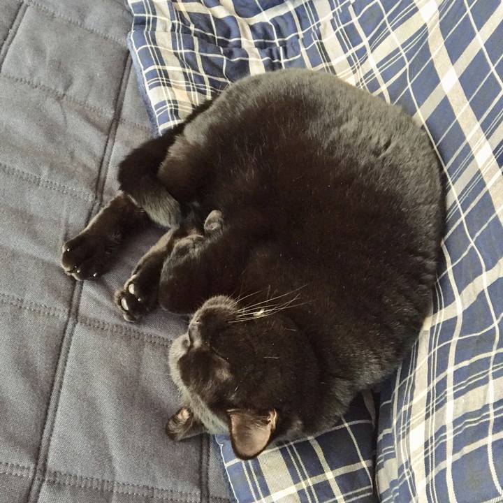 3516bb2e 7417 436b 8b21 c8a19f2d1af7 1512620647222