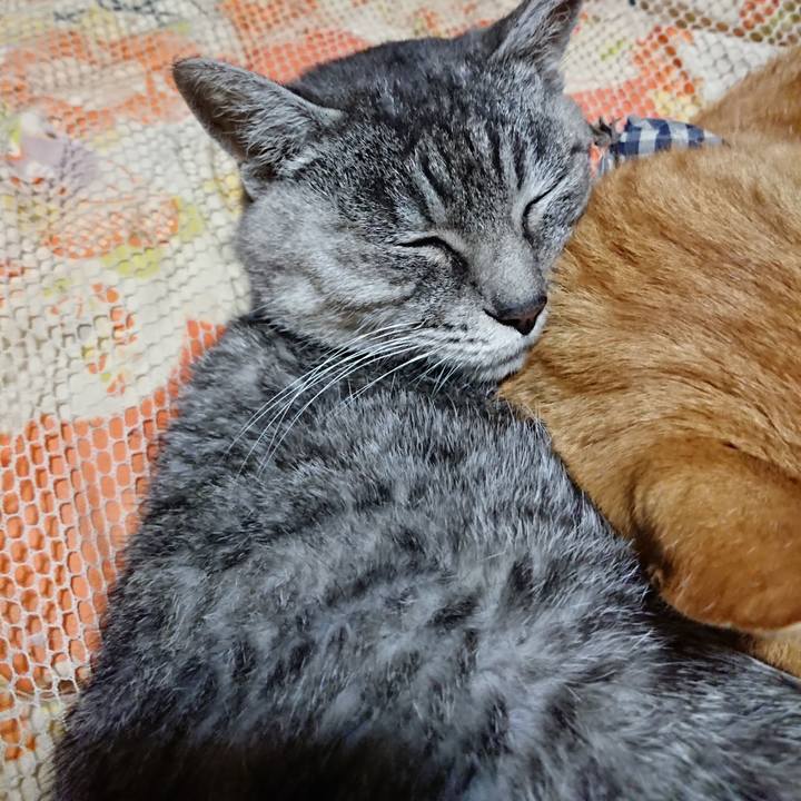 3516c66b 9d80 4788 a639 97b9628ac5c8 1573913281549