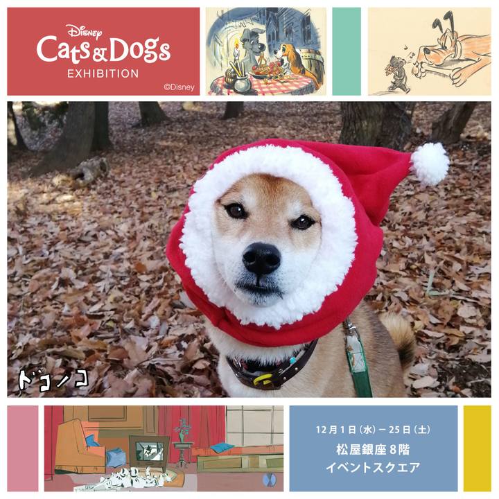 3516de50 f317 4b66 86c7 7e4c3db4463d 1639186556076