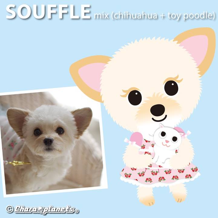 351703a0 d605 4f4f bb68 9a0d675941e8 1560058454272