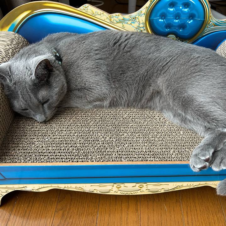 351728f0 6712 455b a706 3de3d6d657ee 1688872560966