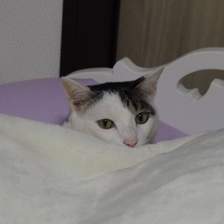 351750a8 157d 47ac 887c cb830e5da3e7 1542579309561