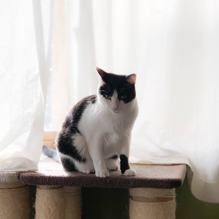 3517514f 90bb 423d 854b 6b8d907bbb72 1578019307385