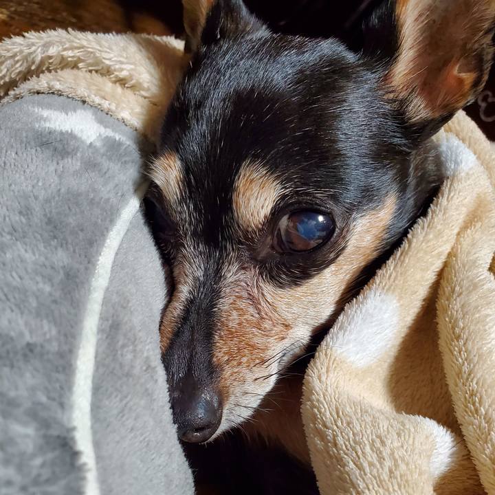 351762fc 8dce 4559 b5b0 14fcaf707f39 1674479752570