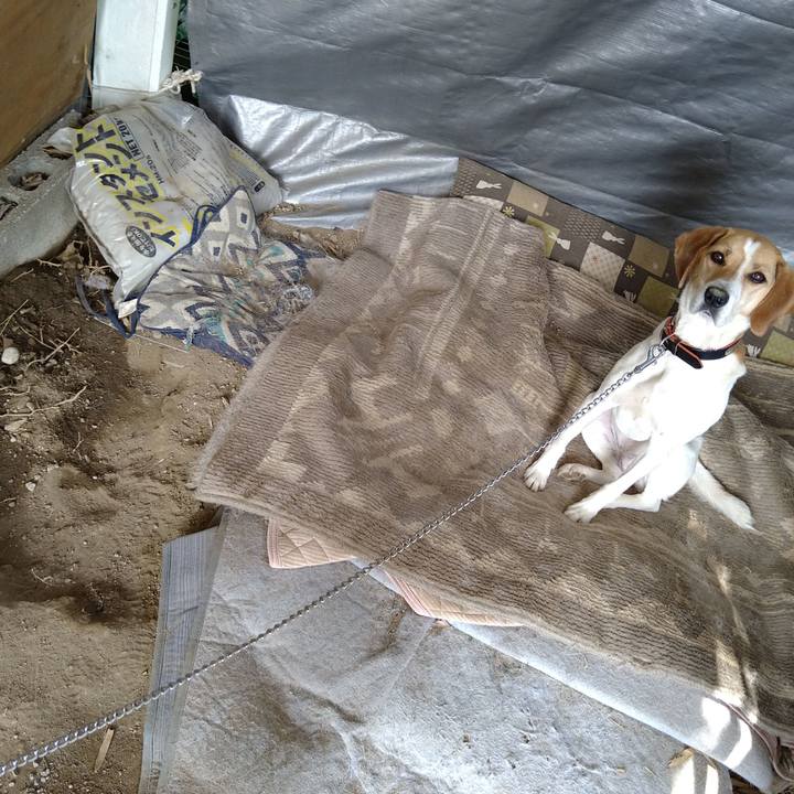 35179179 d66c 42f1 9b56 d6484f1ce7f6 1623905453309