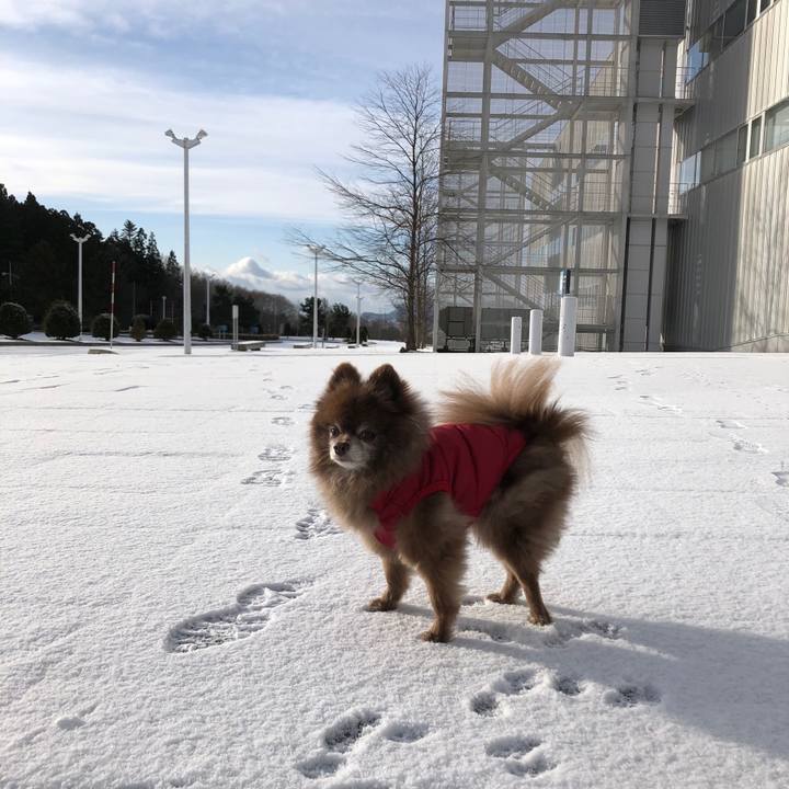 351794ab 6500 4a7f 956f d0acca5906df 1640045345439