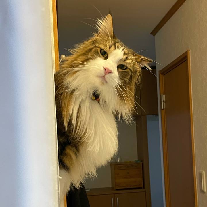 35179828 1a6e 41a9 9d60 2209012a06f7 1683543955903