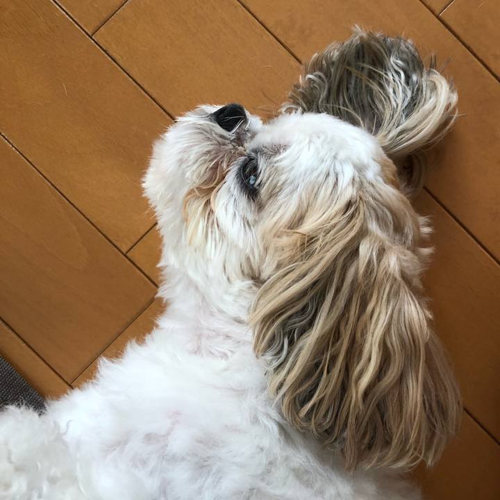 35179ead f5bb 452c 9ec4 42b6e11651a0 1539294030701