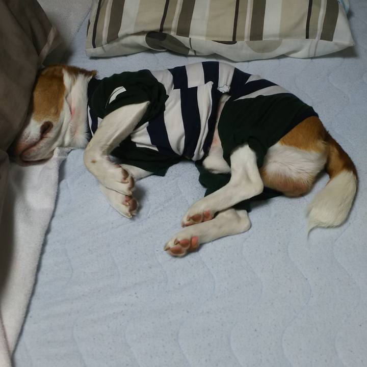 3517a642 b107 4758 8396 4b509ef07d20 1621181952420