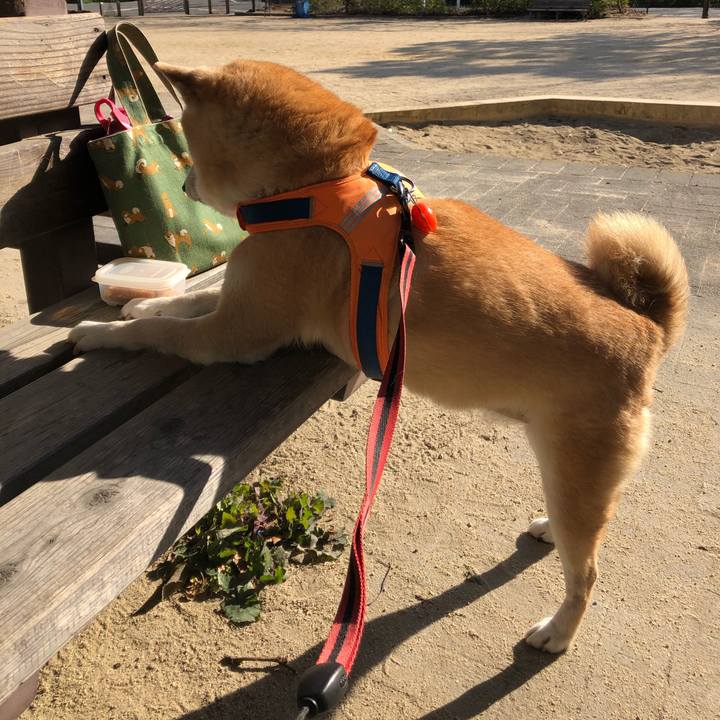 3517acdd 43f9 4c28 a144 0c6a86b012e2 1581386651347