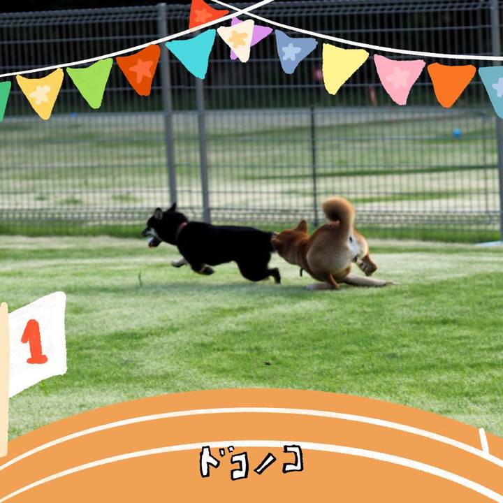 3517c284 a527 4521 a9cc df2e9d53af0c 1761466811793