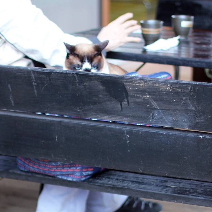 3517cb43 6c2b 4884 a9b1 b9b909a17caf 1512381481702