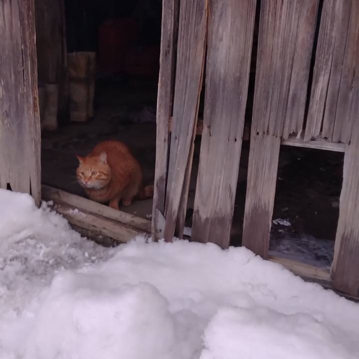 3517f4ca 8cb3 49b3 af56 0c4a59637f62 1675546838299