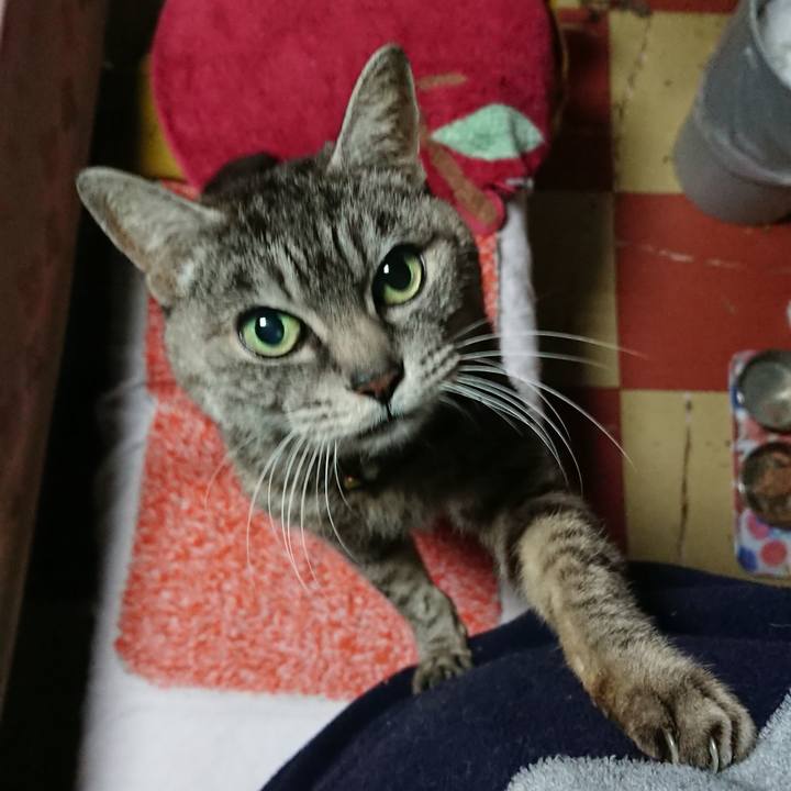 35181f44 8d0c 4408 bf59 9ad704d147b9 1552596591625