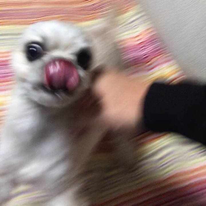 35182fba bc74 40a6 a5f5 dca94392538c 1546644449011