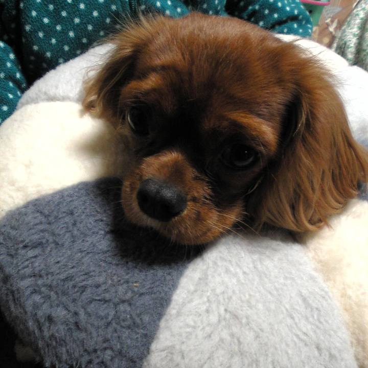 35184862 feb4 4350 85e4 d726d1927a32 1517263381797