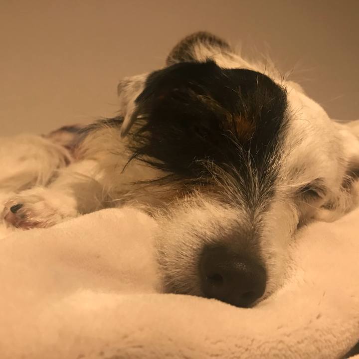 351857fc 3164 47d9 add1 efb979637d47 1521554309046