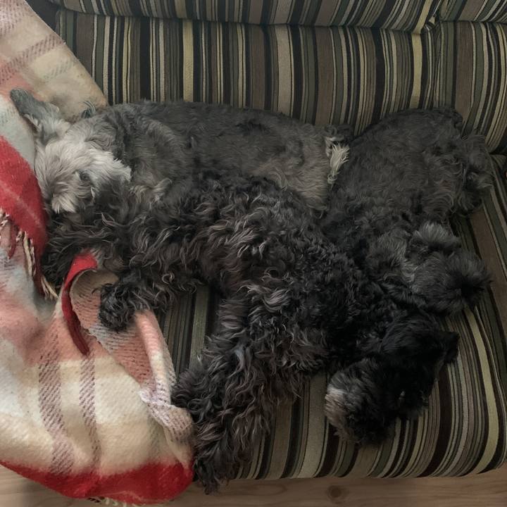 351867e2 c7c6 4173 8816 157eab2cbb56 1588830408825