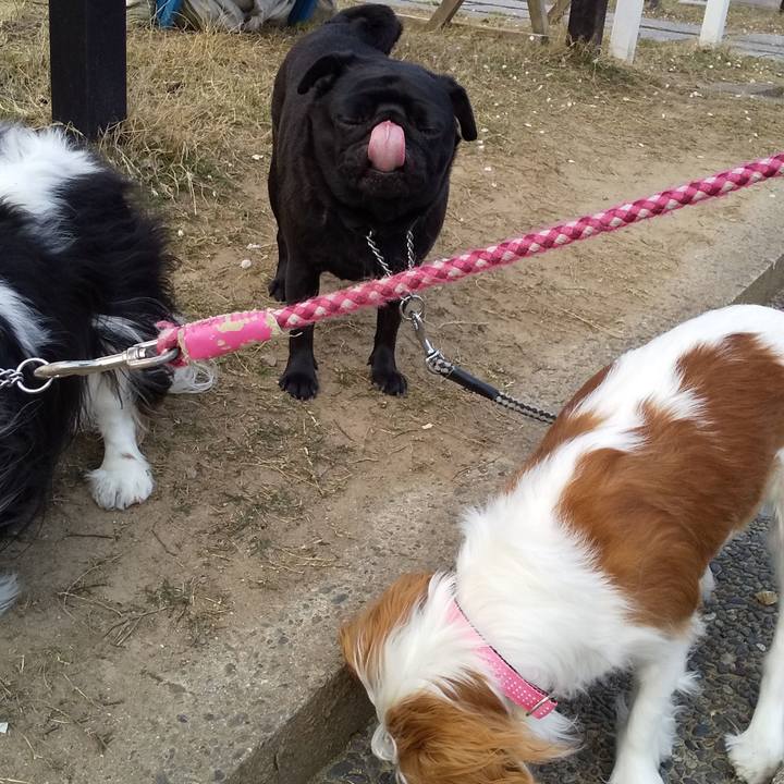 35187c25 2cb3 4316 9d01 a9c941e54fbb 1586325710590