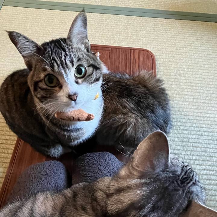 35189a1f f233 4fcd aa85 19f1c63bc43e 1737947940718