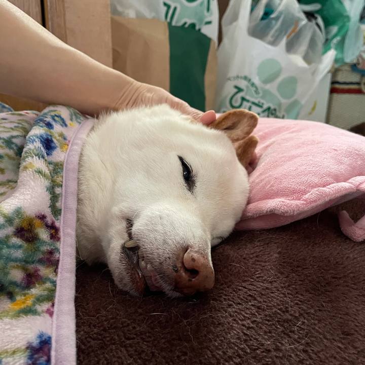 3518a5d4 90ac 4df5 904f 428a8533d54b 1639390136382