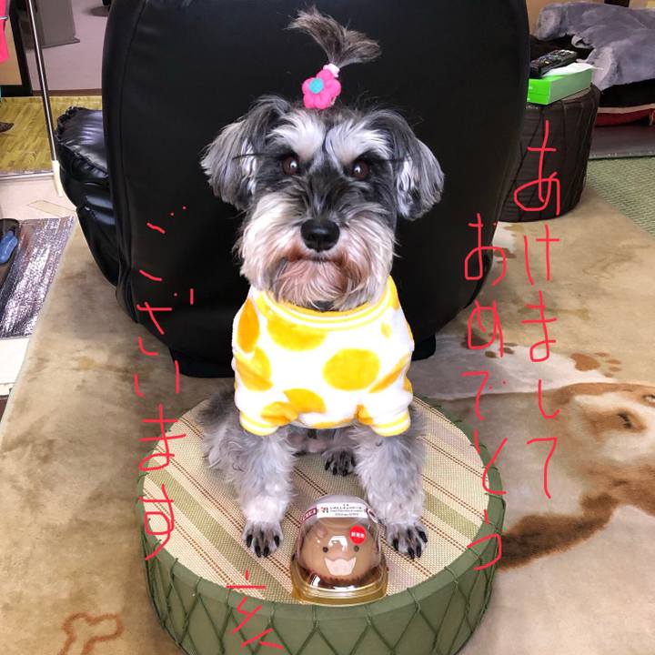 3518d268 0fd1 47f2 bd1b 51a038c814a5 1546306719182