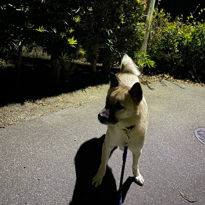 35190687 cd97 46c6 837d 270b1171c764 1638362312786