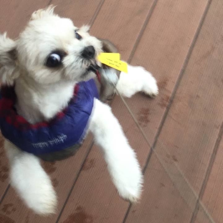 35198d22 6b17 42da a464 4330b19391c7 1517483029149