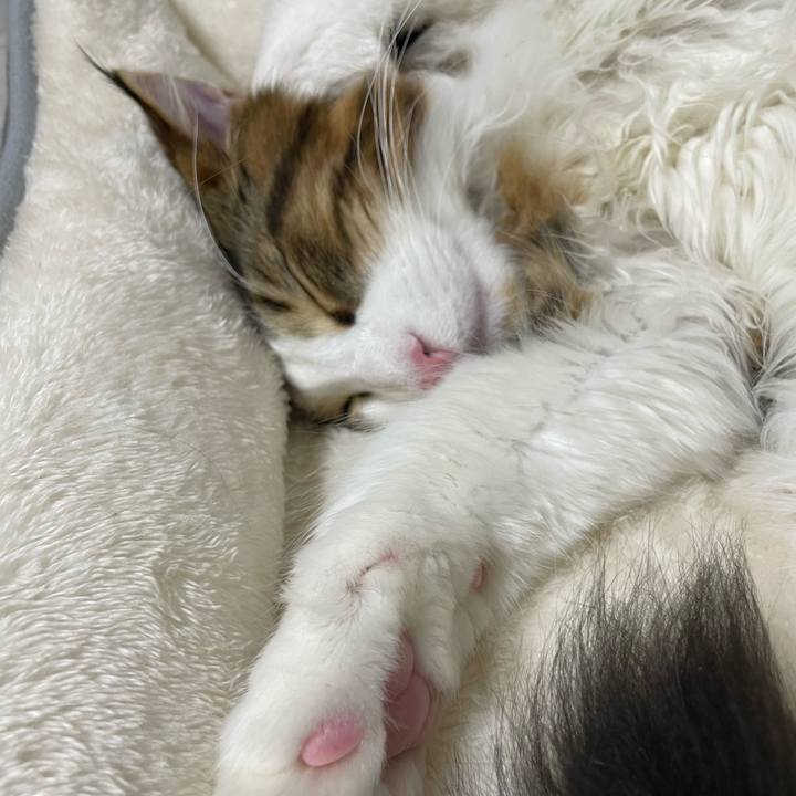 35199f0e 5897 4ee6 8459 0e5fd3c6c38a 1641691480054