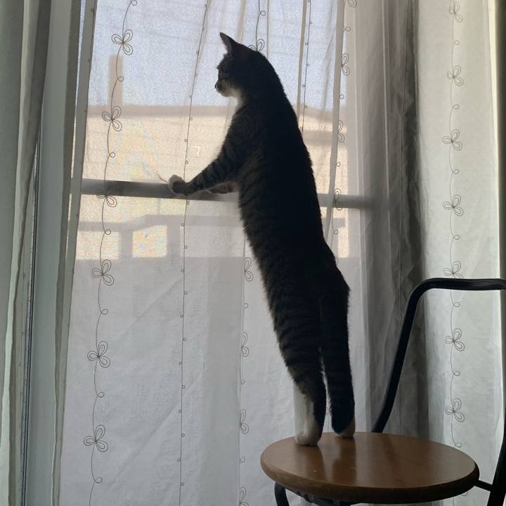 3519b220 2ec1 4163 9f3a f71e9fc9ccb8 1559010015285